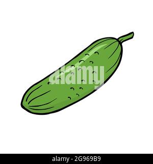 Grüne Gurken auf weißem Hintergrund. Ein nützliches Gemüse, Diät-Lebensmittel. Vektor-isolierte Umrissdarstellung Stock Vektor