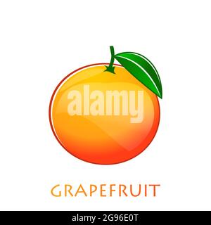 Grapefruit flache Vektorgrafik. Orange Citrus Kreativ-Clipart mit Typografie für gesundes Kochen Menü, Logo, Design-Element Stock Vektor