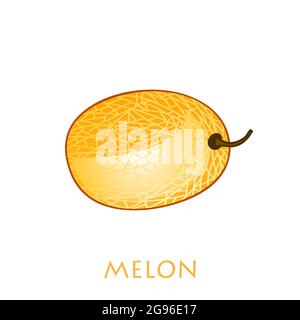 Frische ganze Melone Frucht isoliert auf weißem Hintergrund. Honigmelone. Sommerfrüchte für einen gesunden Lebensstil. Bio-Obst. Cartoon-Stil. Vektorillust Stock Vektor