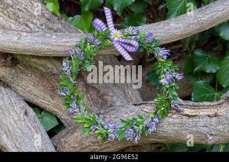 Kranz aus Lavendelblüten und Buchbaum als romantische Sommerdekoration Stockfoto