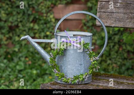 Dekoration mit Kranz aus Lavendelblüten und Kastenbaum und Vintage Gießkanne Stockfoto