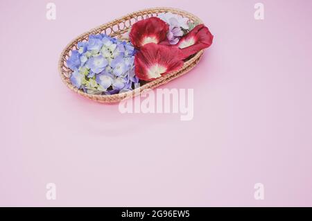 Frische Hortensien und Shirly-Mohnblumen auf einem Korbkorb isoliert auf hellrosa Hintergrund Stockfoto
