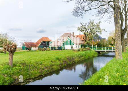 Schönes traditionelles Bauernhaus (Baustil wird 'Stolpboerderij' oder Haubarg genannt) mit Strohdach und weichen grünen Traufen. Stockfoto