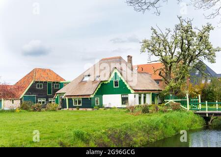 Schönes traditionelles Bauernhaus (Baustil wird 'Stolpboerderij' oder Haubarg genannt) mit Strohdach und weichen grünen Traufen. Stockfoto