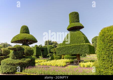 Fantastisch geformte Pflanzen im ältesten Topiarpark der Welt, der Levens Hall in Cumbria, Großbritannien. Stockfoto