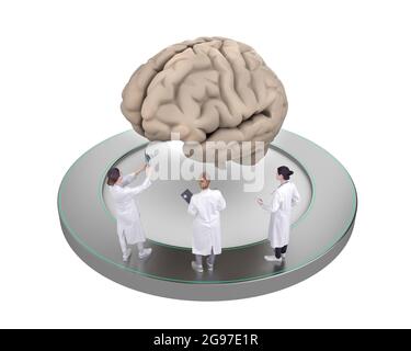 Konzept der Ärztinnen, die das Gehirn untersuchen. 3d-Rendering Stockfoto