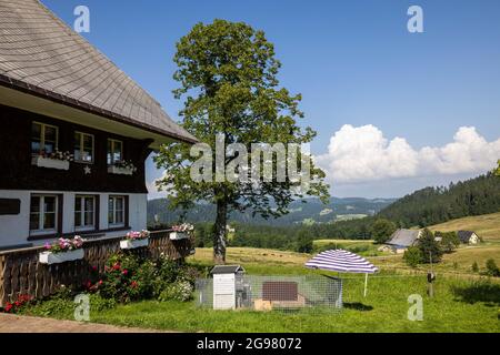 Hinterzarten, Deutschland. Juli 2021. Ein kaninchenbau steht neben dem Gebäude einer Farm. Die Tourismusangebote im Schwarzwald erfreuen sich auch im zweiten Corona-Sommer großer Beliebtheit, sowohl bei Gästen aus Deutschland als auch aus anderen europäischen Ländern. (An dpa 'Association: More than one Billion Euro Corona Debt in the Hospitality industry') Quelle: Philipp von Ditfurth/dpa/Alamy Live News Stockfoto