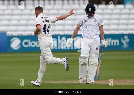 Jamie Porter von Essex behauptet das Dickicht von Matt Crickley während des Essex CCC gegen Derbyshire CCC, LV Insurance County Championship Group 1 Cricket im Stockfoto