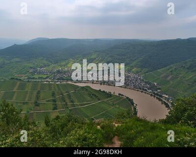 Schöner Panoramablick auf die kleine Stadt Bremm in Rheinland-Pfalz, Deutschland, am Ufer der Mosel mit überschwemmtem Fluss und Weinbergen gelegen. Stockfoto