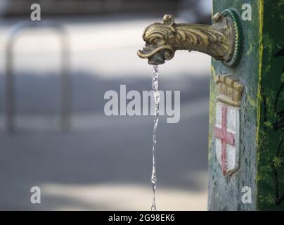 Durstlöschendes Süßwasser sprudelt aus einem öffentlichen Brunnen, der als grüner Drache in Mailand, Lombardei, Italien, bezeichnet wird. Stockfoto