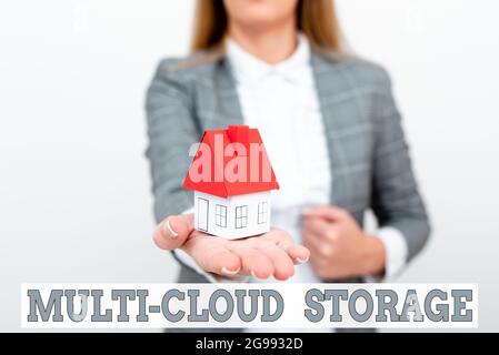 Text mit Inspiration Multi Cloud Storage. Business Showcase Nutzung mehrerer Cloud-Computing- und Speicherservices EINE junge Dame Orbusinesswoman Stockfoto