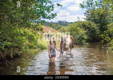 Mealagh Valley, Bantry, Cork, Irland. Juli 2021. An einem heißen Sommernachmittag bringt Kate Wholihane ihr Pferd Apollo zu einem lokalen Fluss, um ihm bei der intensiven Hitze im Mealagh Valley, Bantry, Co. Cork, Irland, zu helfen, sich abzukühlen. - Bild; David Creedon Alamy Live News Stockfoto