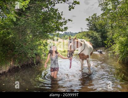 Mealagh Valley, Bantry, Cork, Irland. Juli 2021. An einem heißen Sommernachmittag bringt Kate Wholihane ihr Pferd Apollo zu einem lokalen Fluss, um ihm bei der intensiven Hitze im Mealagh Valley, Bantry, Co. Cork, Irland, zu helfen, sich abzukühlen. - Bild; David Creedon Alamy Live News Stockfoto