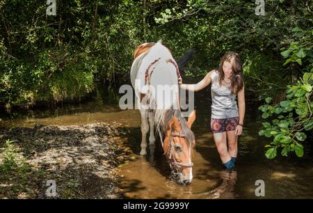 Mealagh Valley, Bantry, Cork, Irland. Juli 2021. An einem heißen Sommernachmittag bringt Kate Wholihane ihr Pferd Apollo zu einem lokalen Fluss, um ihm bei der intensiven Hitze im Mealagh Valley, Bantry, Co. Cork, Irland, zu helfen, sich abzukühlen. - Bild; David Creedon Alamy Live News Stockfoto