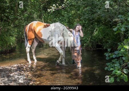 Mealagh Valley, Bantry, Cork, Irland. Juli 2021. An einem heißen Sommernachmittag bringt Kate Wholihane ihr Pferd Apollo zu einem lokalen Fluss, um ihm bei der intensiven Hitze im Mealagh Valley, Bantry, Co. Cork, Irland, zu helfen, sich abzukühlen. - Bild; David Creedon Alamy Live News Stockfoto