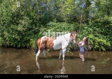 Mealagh Valley, Bantry, Cork, Irland. Juli 2021. An einem heißen Sommernachmittag bringt Kate Wholihane ihr Pferd Apollo zu einem lokalen Fluss, um ihm bei der intensiven Hitze im Mealagh Valley, Bantry, Co. Cork, Irland, zu helfen, sich abzukühlen. - Bild; David Creedon Alamy Live News Stockfoto