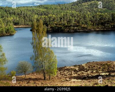 Loch Beinn A' Mheadhoinm, Glen Affric in der Nähe von Cannich, Highlands Scotland Stockfoto