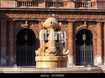 Der berühmte Delfinbrunnen vor dem Opernhaus. Catania Sizilien. Italien. Stockfoto
