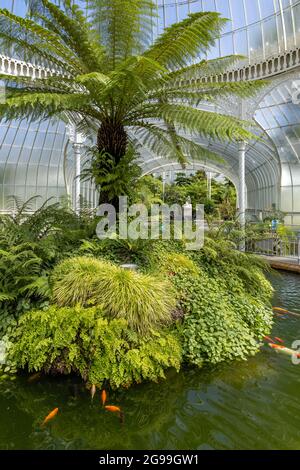 Das Innere des viktorianischen, schmiedeeisernen Kibble Palace-Glasshauses in den Glasgow Botanic Gardens im West End von Glasgow, Schottland, Großbritannien Stockfoto