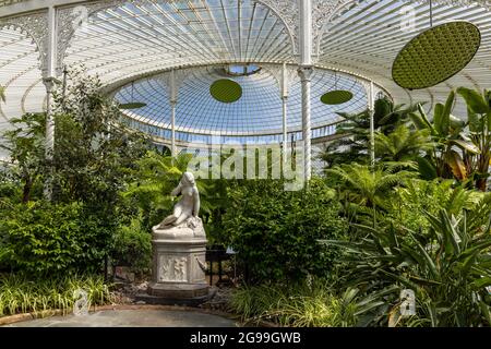 Das Innere des viktorianischen, schmiedeeisernen Kibble Palace-Glasshauses in den Glasgow Botanic Gardens im West End von Glasgow, Schottland, Großbritannien Stockfoto