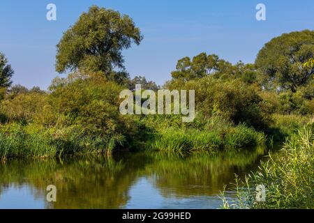 Sommertag über dem Fluss Warta im Warta Landscape Park, Polen. Stockfoto