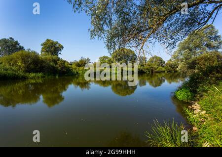 Sommertag über dem Fluss Warta im Warta Landscape Park, Polen. Stockfoto