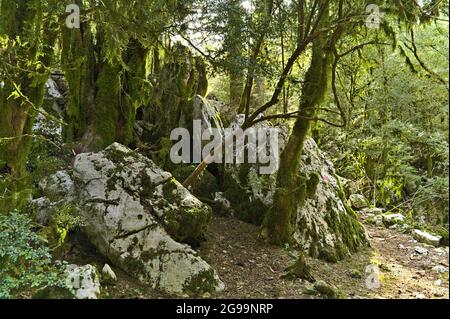 Landschaft entlang des Wanderweges durch den Llogara Nationalpark Stockfoto