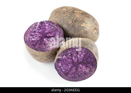 Frische lila Kartoffeln isoliert auf weißem Hintergrund. Ernte von Gemüse. Stockfoto