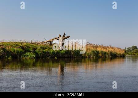 Sommertag über dem Fluss Warta im Warta Landscape Park, Polen. Stockfoto