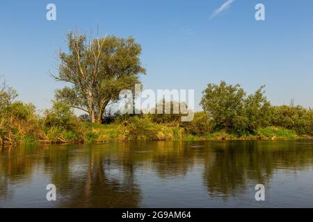 Sommertag über dem Fluss Warta im Warta Landscape Park, Polen. Stockfoto