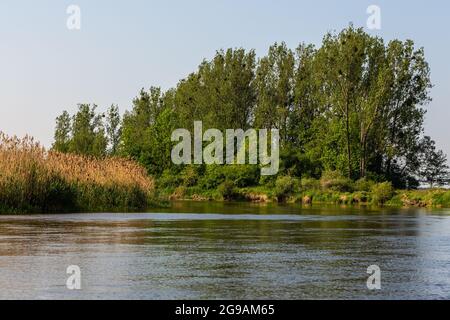 Sommertag über dem Fluss Warta im Warta Landscape Park, Polen. Stockfoto