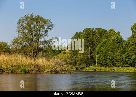 Sommertag über dem Fluss Warta im Warta Landscape Park, Polen. Stockfoto