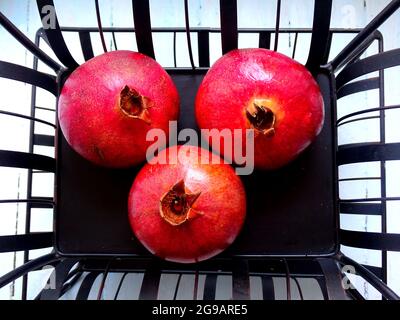 Reife Granatäpfel auf einem schwarzen Metallständer Stockfoto