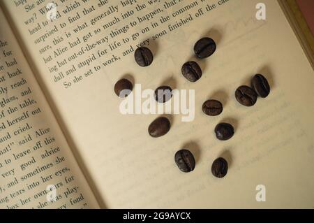 Kaffeebohnen liegen ordentlich auf einem offenen Buch, Draufsicht Stockfoto