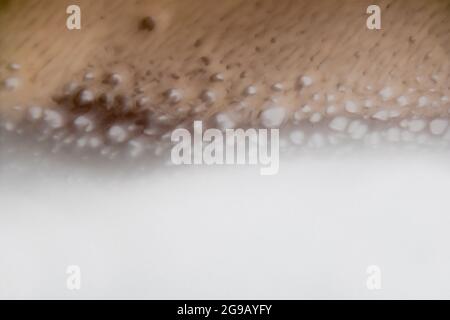 Schale aus Epoxidharz, Steinschliff im Marinestil. Blaue Farbflecken, goldene Zierleisten. Abstrakte Komposition für Ihr Design. Fließende Kunst. Natürlicher Luxus. Der Stil Stockfoto