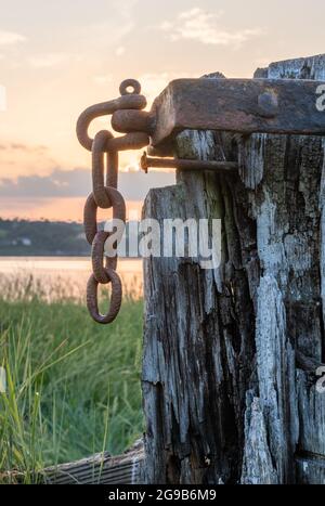 Verfallendes Schiffswrack Aus Holz, Purton, Gloucestershire Stockfoto