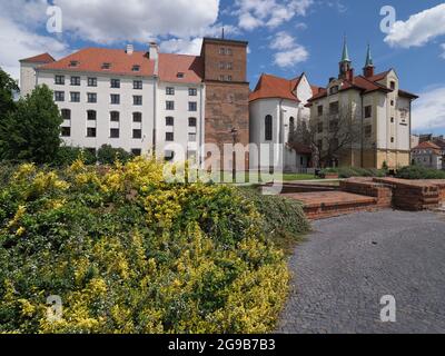 BRZEG, POLEN am 2021. MAI: Schloss der Piasten-Dynastie in der europäischen Stadt in der Woiwodschaft Opole, blauer Himmel an warmen sonnigen Frühlingstag. Stockfoto