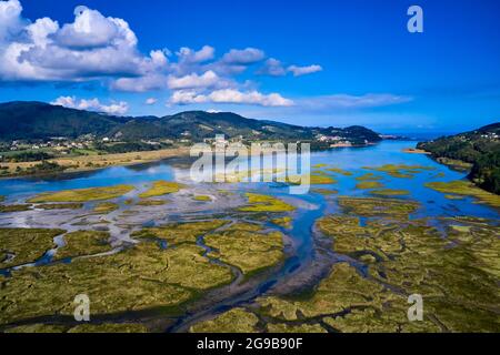 Spanien, das spanische Baskenland, Biskaya, Region Gernika-Lumo, Biosphärenreservat Urdaibai, OKA-Flussmündung bei Ebbe südlich von Mundaka Stockfoto