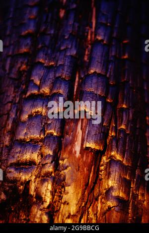 Schwaches Licht auf Holz Stockfoto