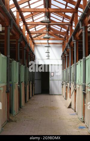 Im Inneren moderner klarer Stall oder Scheune mit Pferdekisten. Blick auf den Durchgang in natürlichem Licht am Ende. Leeren Stall im Stall geräumt halten Sporthoren Stockfoto