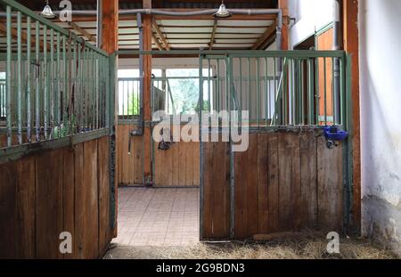Im Inneren moderner klarer Stall oder Scheune mit Pferdekisten. Blick auf den Durchgang in natürlichem Licht am Ende. Leeren Stall im Stall geräumt halten Sporthoren Stockfoto