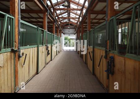 Im Inneren moderner klarer Stall oder Scheune mit Pferdekisten. Blick auf den Durchgang in natürlichem Licht am Ende. Leeren Stall im Stall geräumt halten Sporthoren Stockfoto