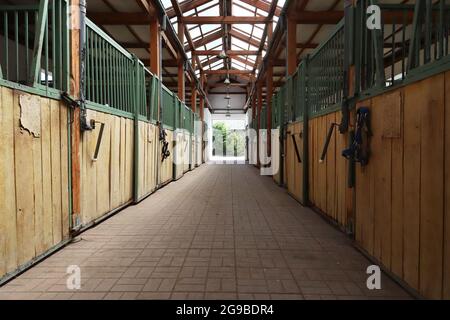 Im Inneren moderner klarer Stall oder Scheune mit Pferdekisten. Blick auf den Durchgang in natürlichem Licht am Ende. Leeren Stall im Stall geräumt halten Sporthoren Stockfoto