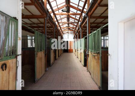 Im Inneren moderner klarer Stall oder Scheune mit Pferdekisten. Blick auf den Durchgang in natürlichem Licht am Ende. Leeren Stall im Stall geräumt halten Sporthoren Stockfoto