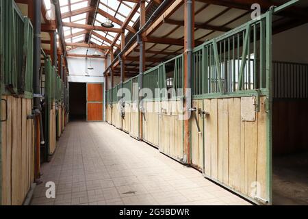 Im Inneren moderner klarer Stall oder Scheune mit Pferdekisten. Blick auf den Durchgang in natürlichem Licht am Ende. Leeren Stall im Stall geräumt halten Sporthoren Stockfoto