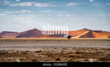 Hoch aufragende Sanddünen in der Nähe von Sossusvlei im Namib-Naukluft National Park, Namibia, Afrika. Stockfoto