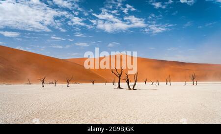 Panoramablick auf Deadvlei in der Namib Wüste, Namib-Naukluft Nationalpark, Namibia, Afrika. Stockfoto