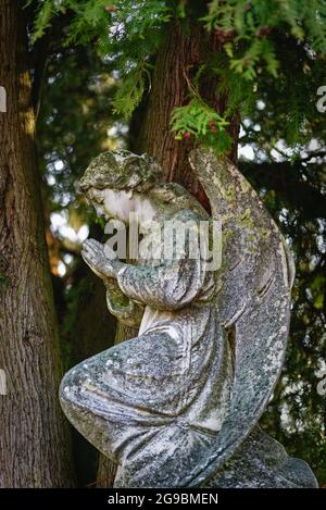 Friedhof mit viktorianischen Ornamenten Stockfoto