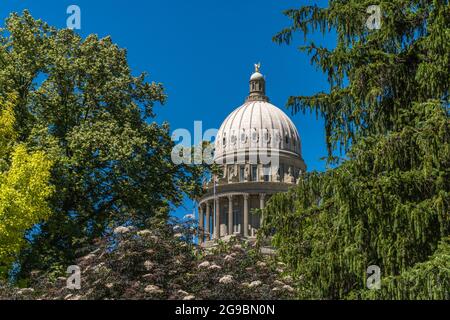 State Capitol Dome in Boise, Idaho, eingerahmt von Bäumen. Stockfoto