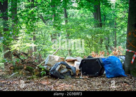 Berlin, Deutschland. Juli 2021. Müll liegt neben der Nikolskoer Straße im Wald. Für die Entfernung solcher Haufen Müll gibt die Stadt jährlich mehrere Millionen Euro aus. Quelle: Soeren Stache/dpa-Zentralbild/dpa/Alamy Live News Stockfoto